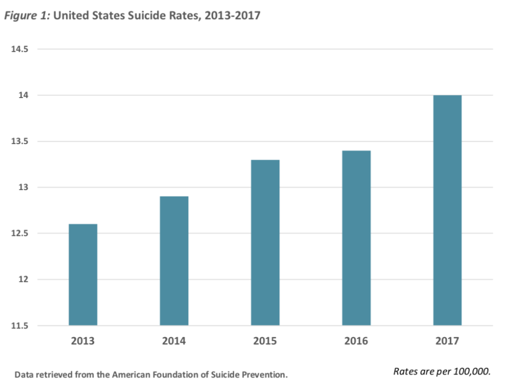Teen Suicide Statistics 2013